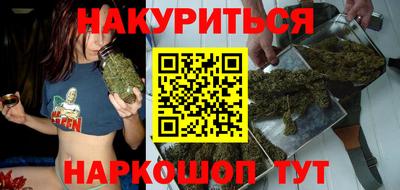 сатива Краснодар