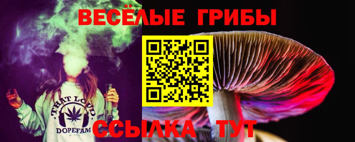 Псилоцибиновые грибы прущие грибы Щёкино