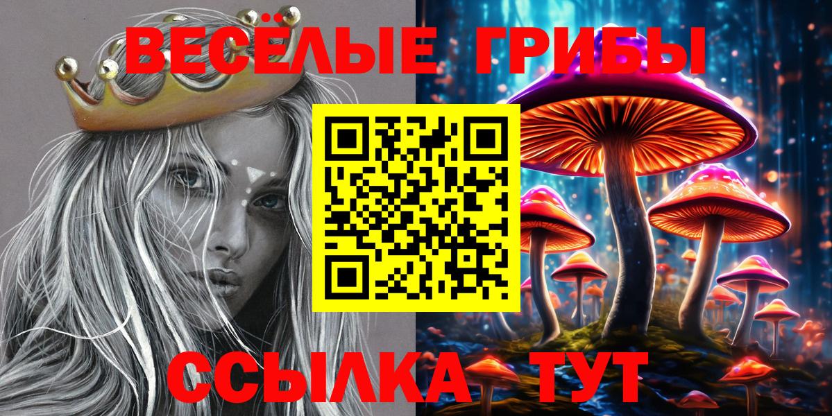 Щёкино  Псилоцибиновые грибы прущие грибы  Вход с VPN  Галлюциногенные грибы Cubensis 